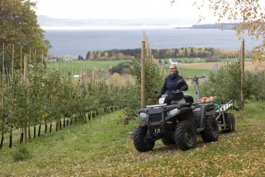 Inderøy Mosteri